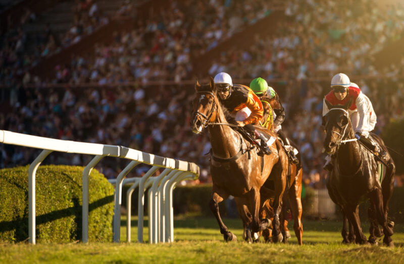 ゼロからのアフィリエイトブログ初心者講座 | 競馬ブログの作り方！楽しみながら収益化するコツを暴露します！！