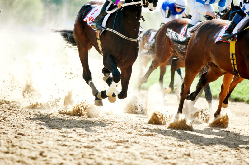 ゼロからのアフィリエイトブログ初心者講座 | 競馬ブログの作り方！楽しみながら収益化するコツを暴露します！！