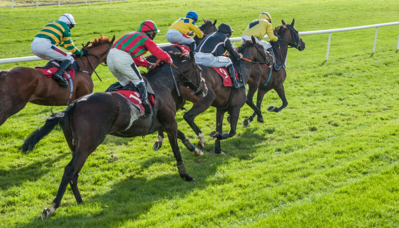 ゼロからのアフィリエイトブログ初心者講座 | 競馬ブログの作り方！楽しみながら収益化するコツを暴露します！！